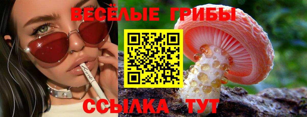 Сердобск  Псилоцибиновые грибы ЛСД  Вход с VPN 